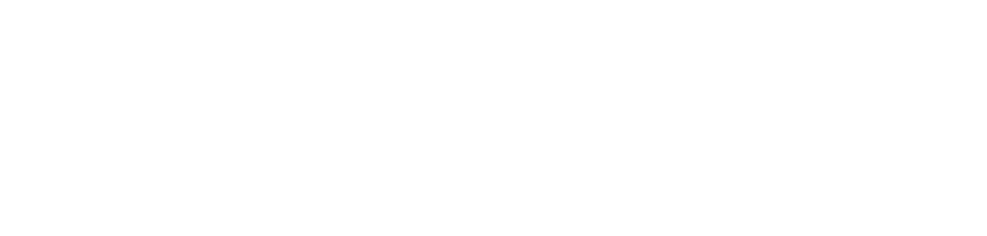 King Sejong Institute Foundation